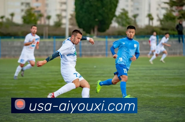 多媒体互动体验